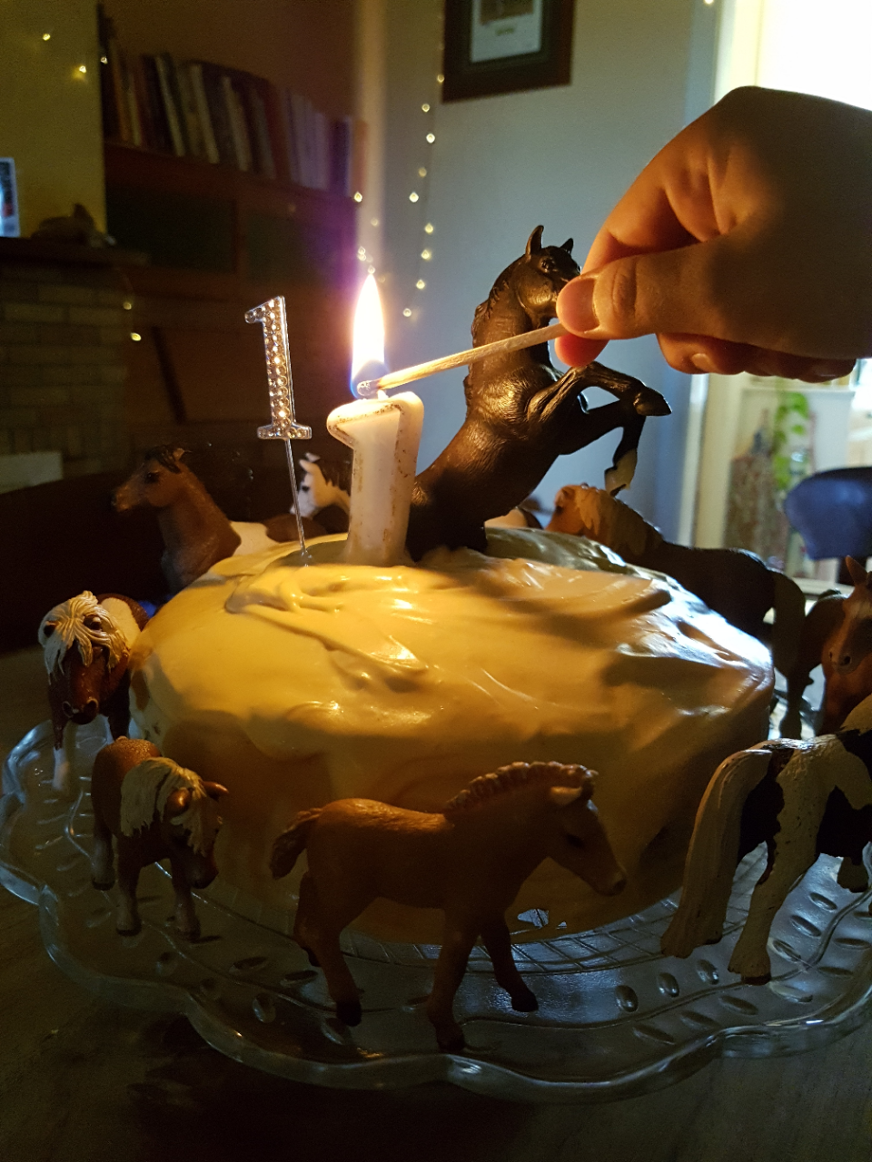 20210123_130319[27533]