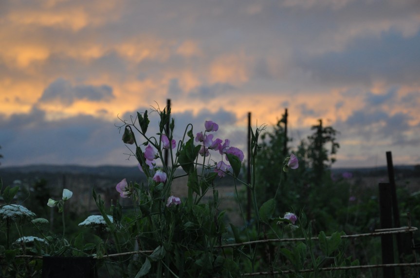 Whispers from the&nbsp;past