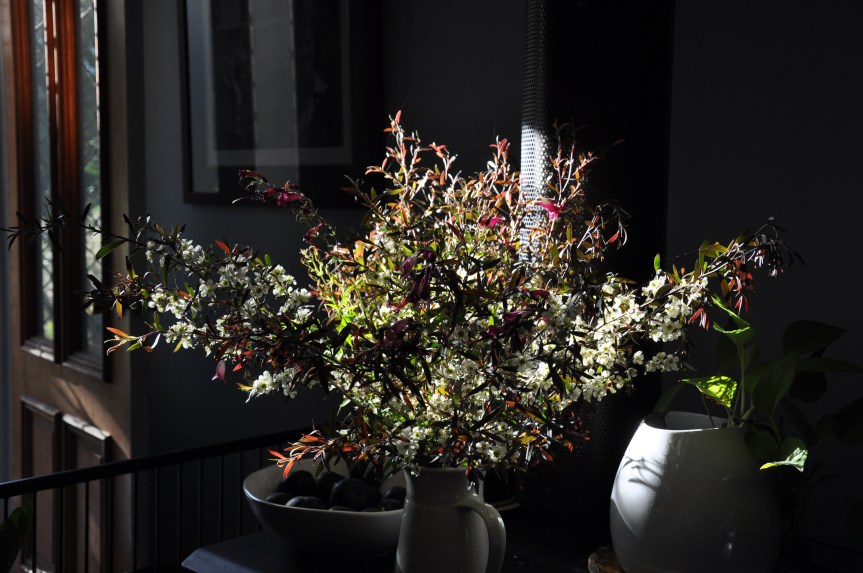 Reflections on a new&nbsp;year